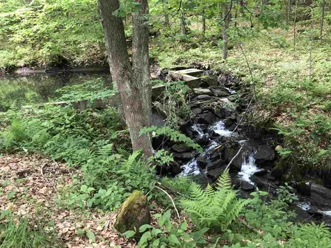 739 Westerdale Road Woodstock VT 05091