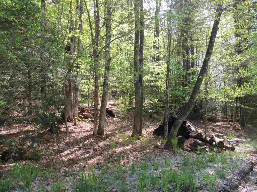 1410 Stevens Brook Road Moretown VT 05660