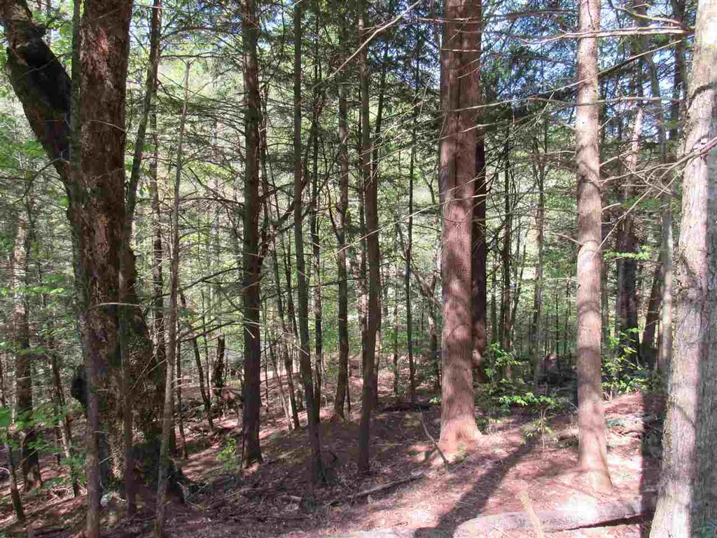 1410 Stevens Brook Road Moretown VT 05660