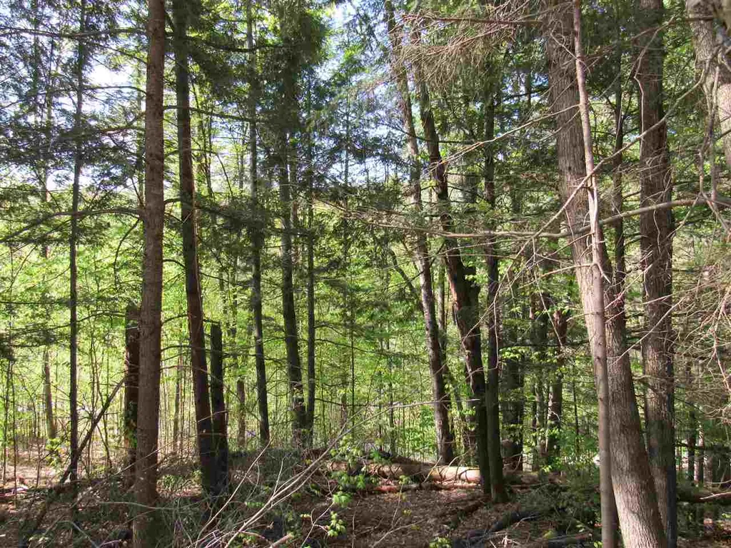 1410 Stevens Brook Road Moretown VT 05660