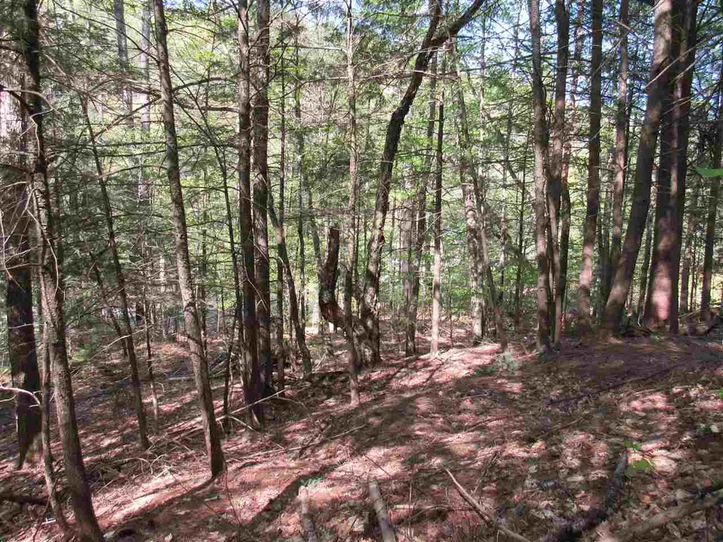 1410 Stevens Brook Road Moretown VT 05660