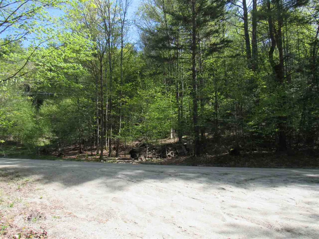 1410 Stevens Brook Road Moretown VT 05660