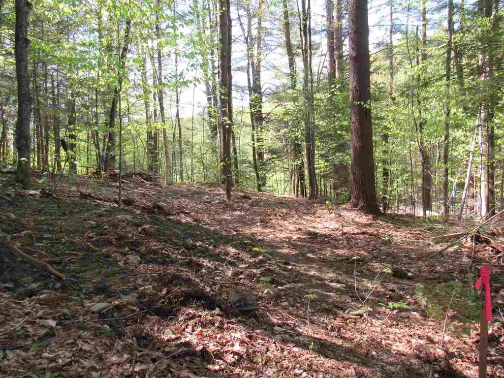 1410 Stevens Brook Road Moretown VT 05660