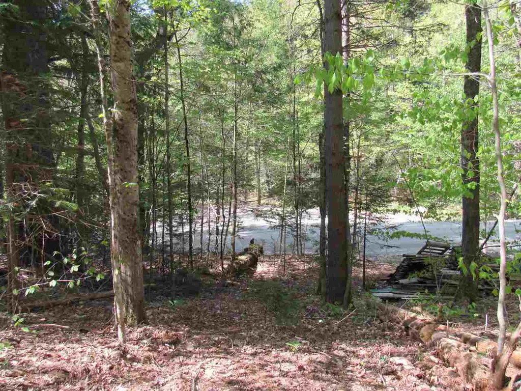 1410 Stevens Brook Road Moretown VT 05660