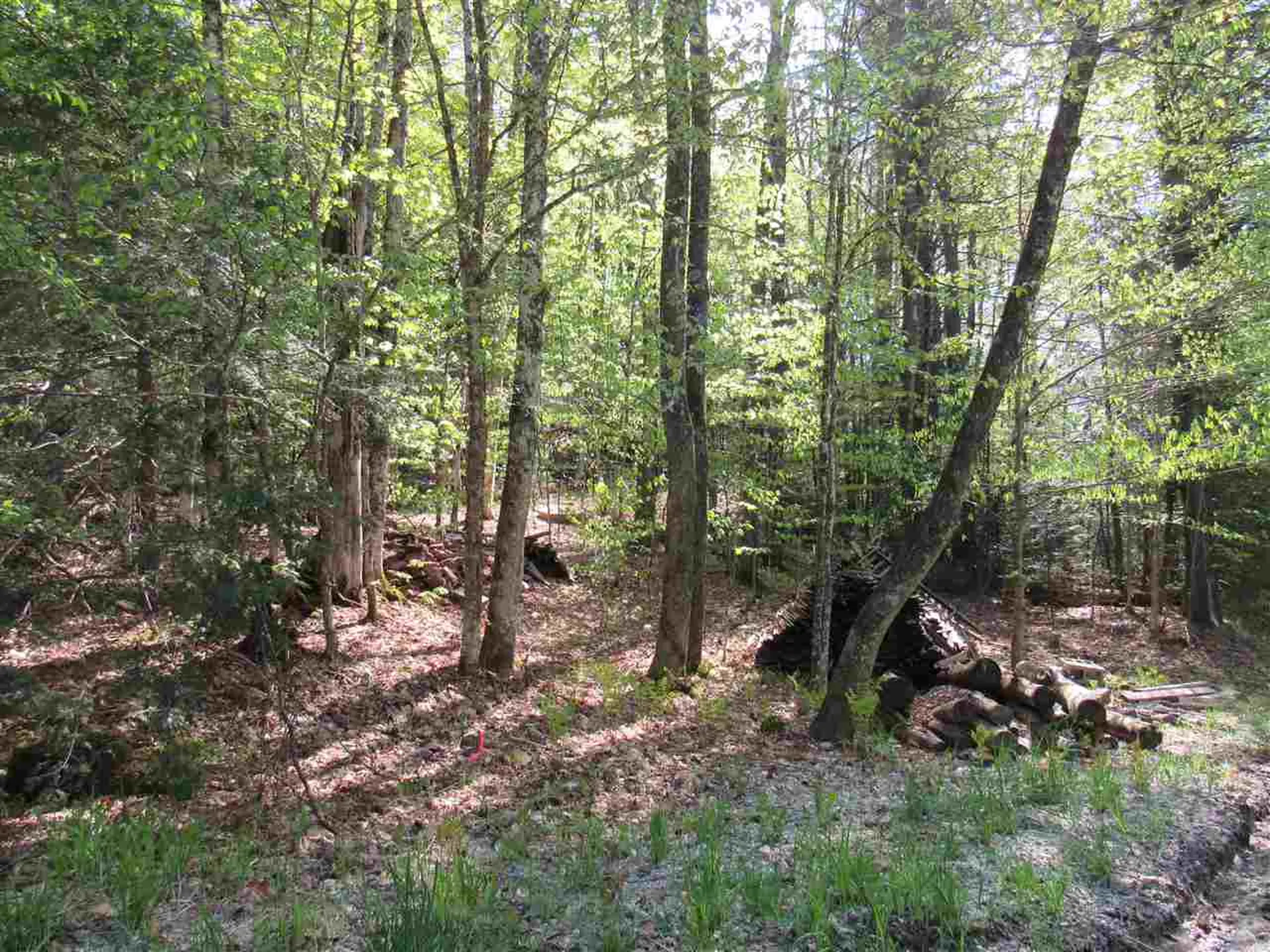 1410 Stevens Brook Road Moretown VT 05660