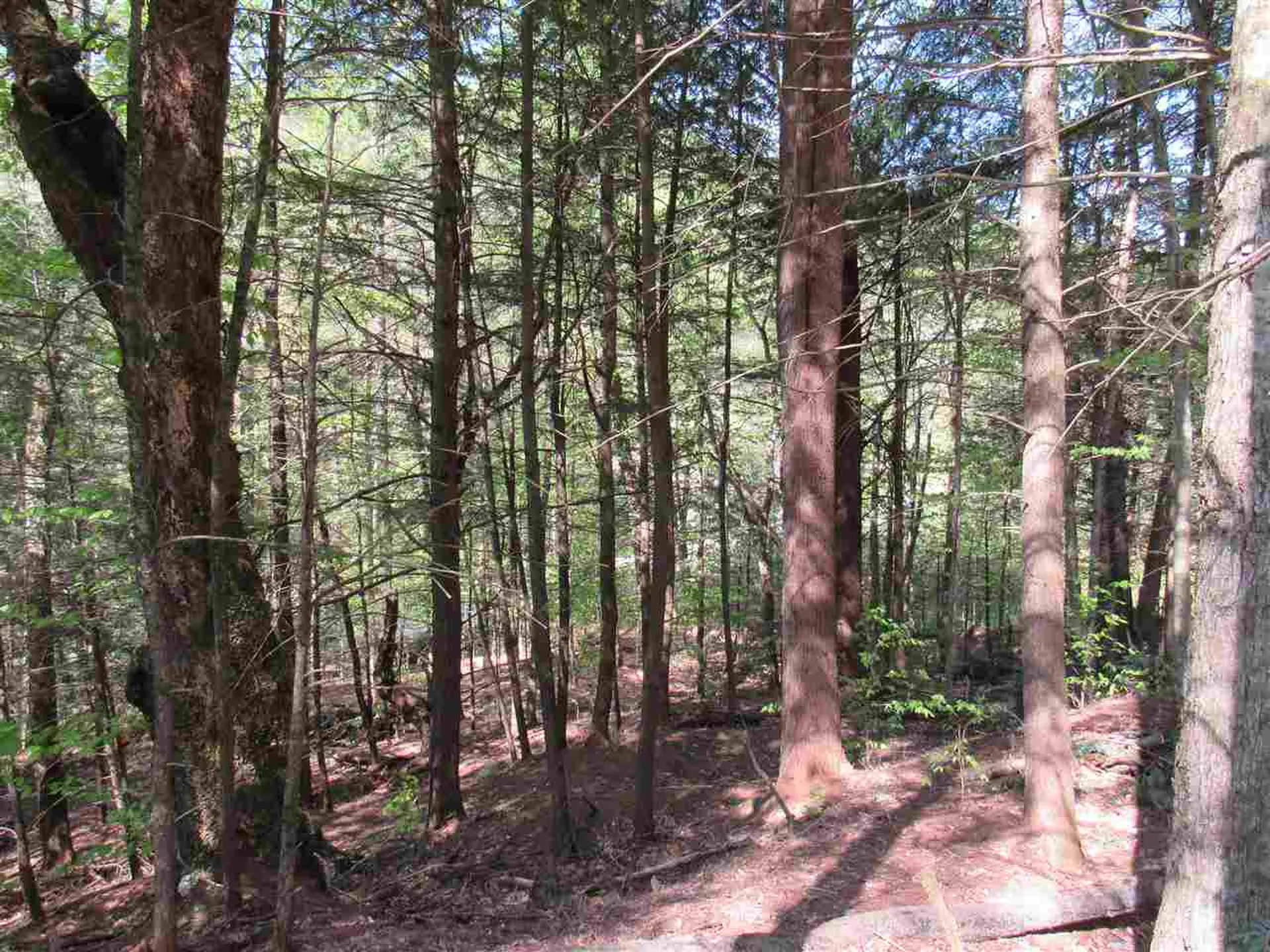 1410 Stevens Brook Road Moretown VT 05660