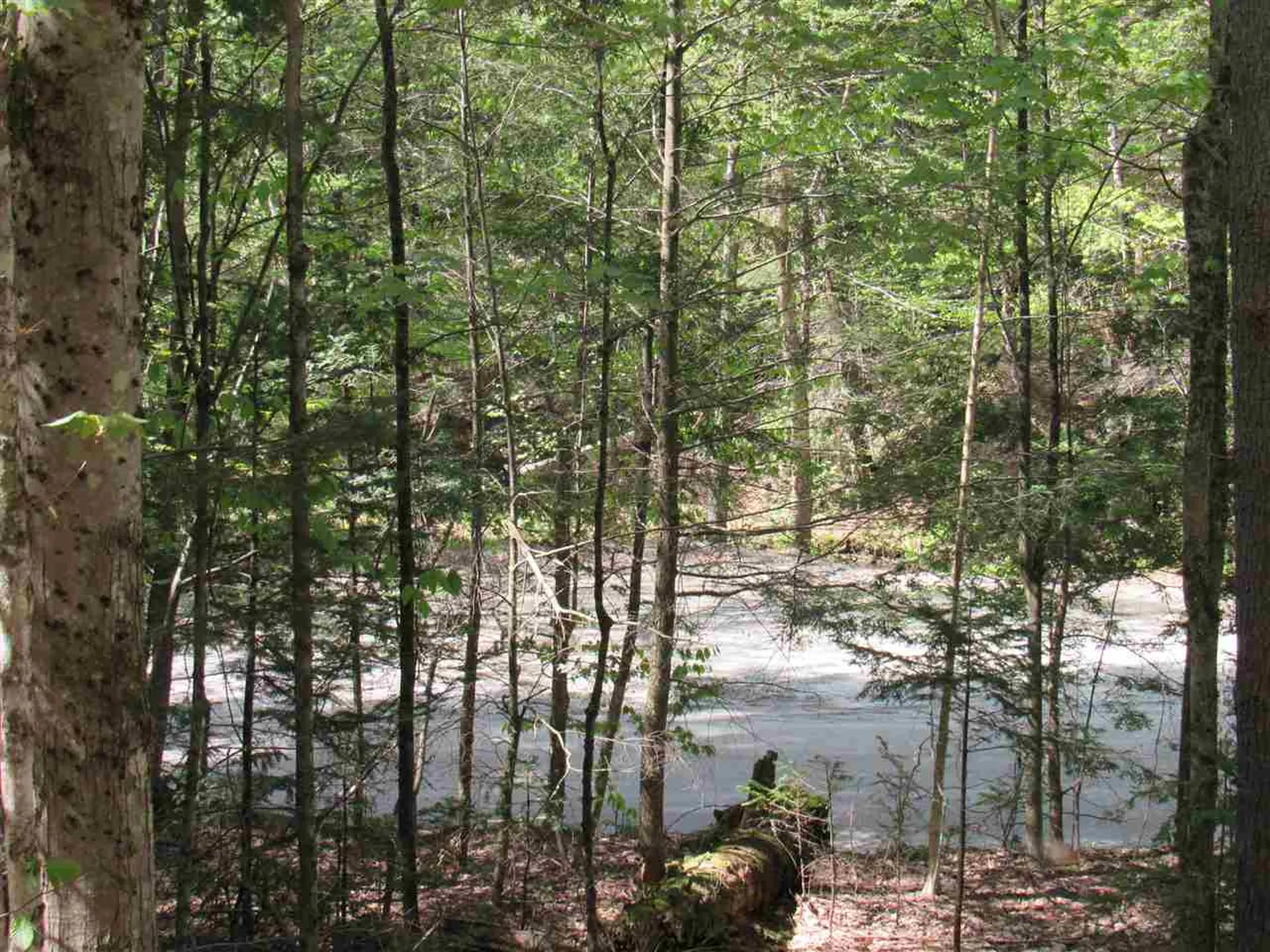 1410 Stevens Brook Road Moretown VT 05660