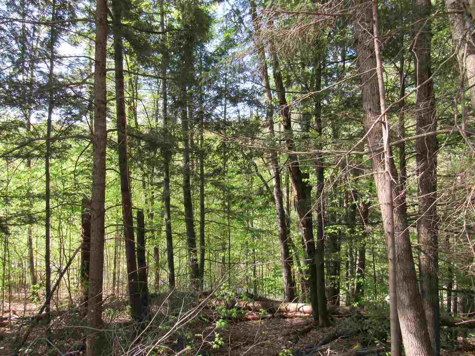 1410 Stevens Brook Road Moretown VT 05660