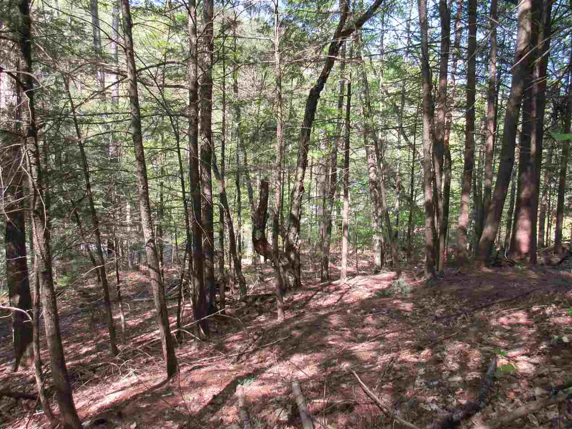 1410 Stevens Brook Road Moretown VT 05660