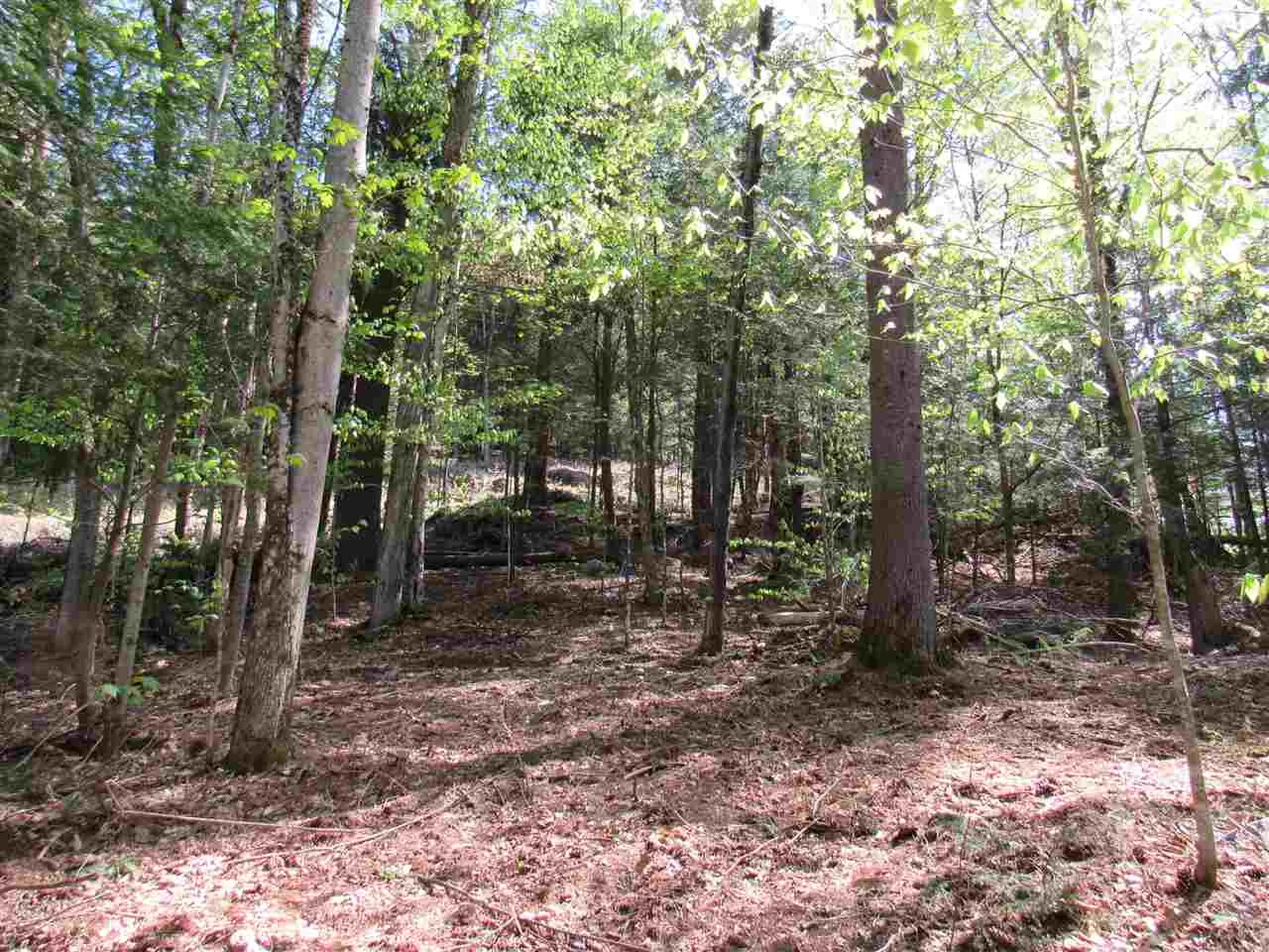 1410 Stevens Brook Road Moretown VT 05660