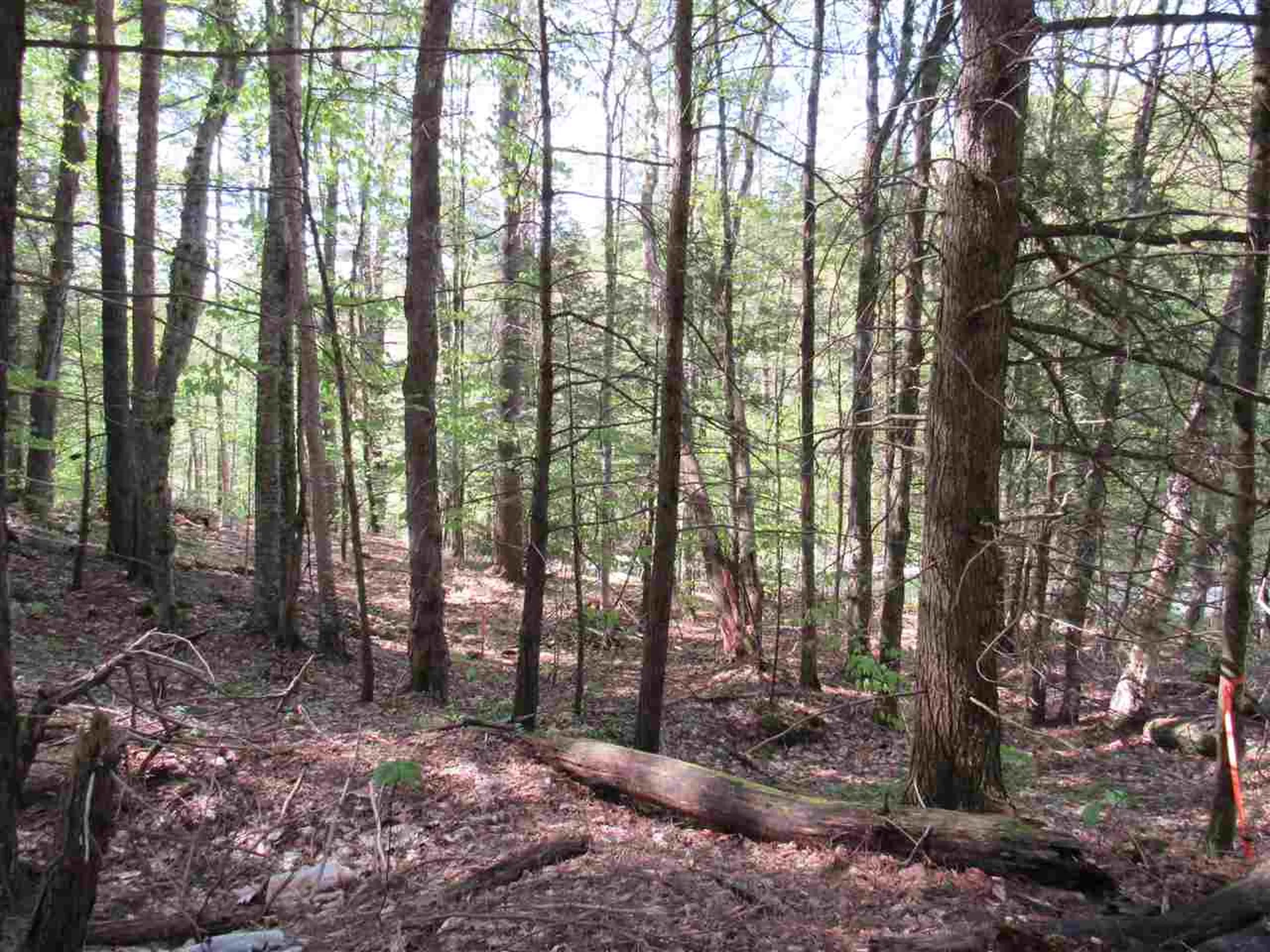 1410 Stevens Brook Road Moretown VT 05660