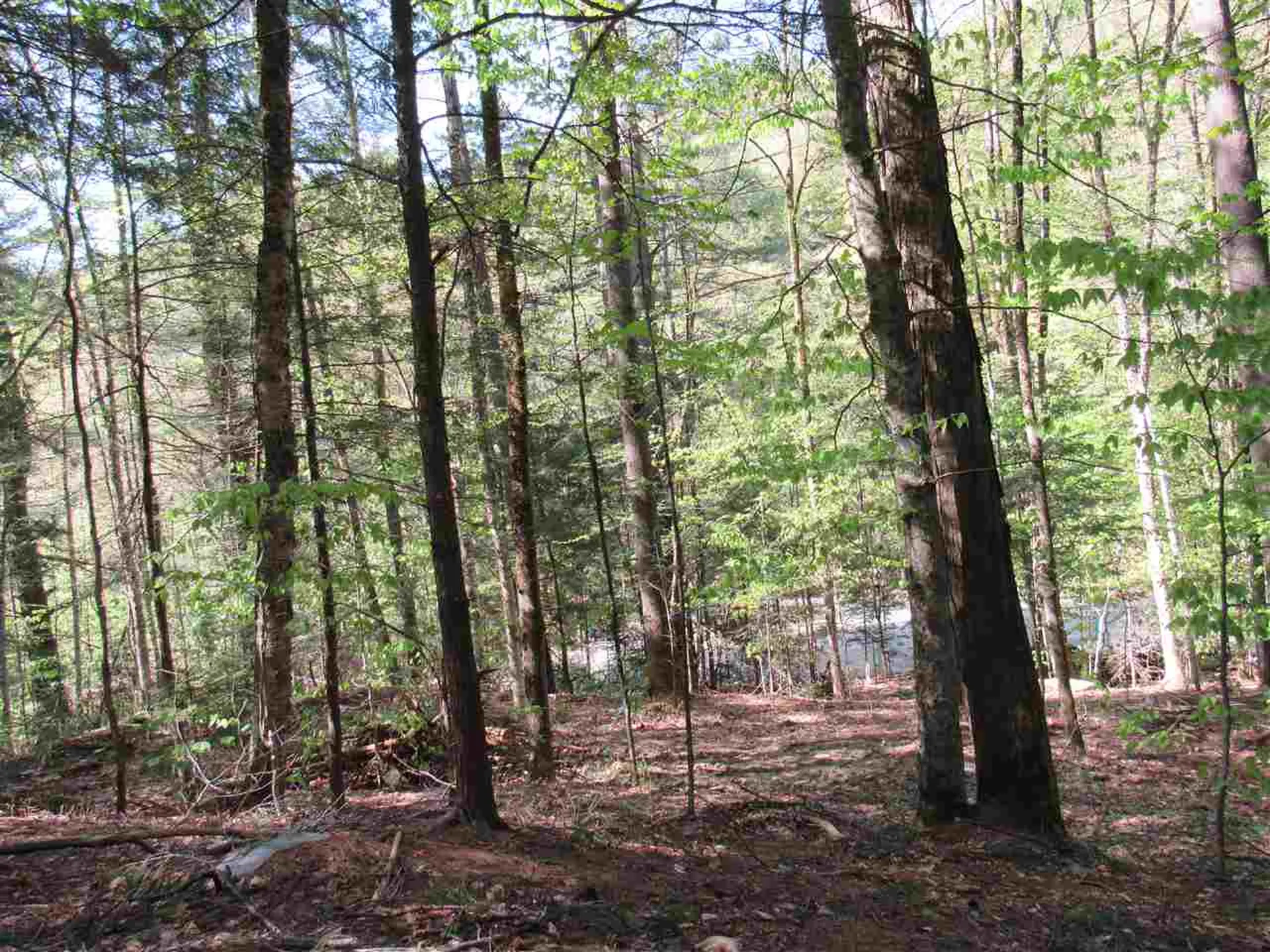 1410 Stevens Brook Road Moretown VT 05660