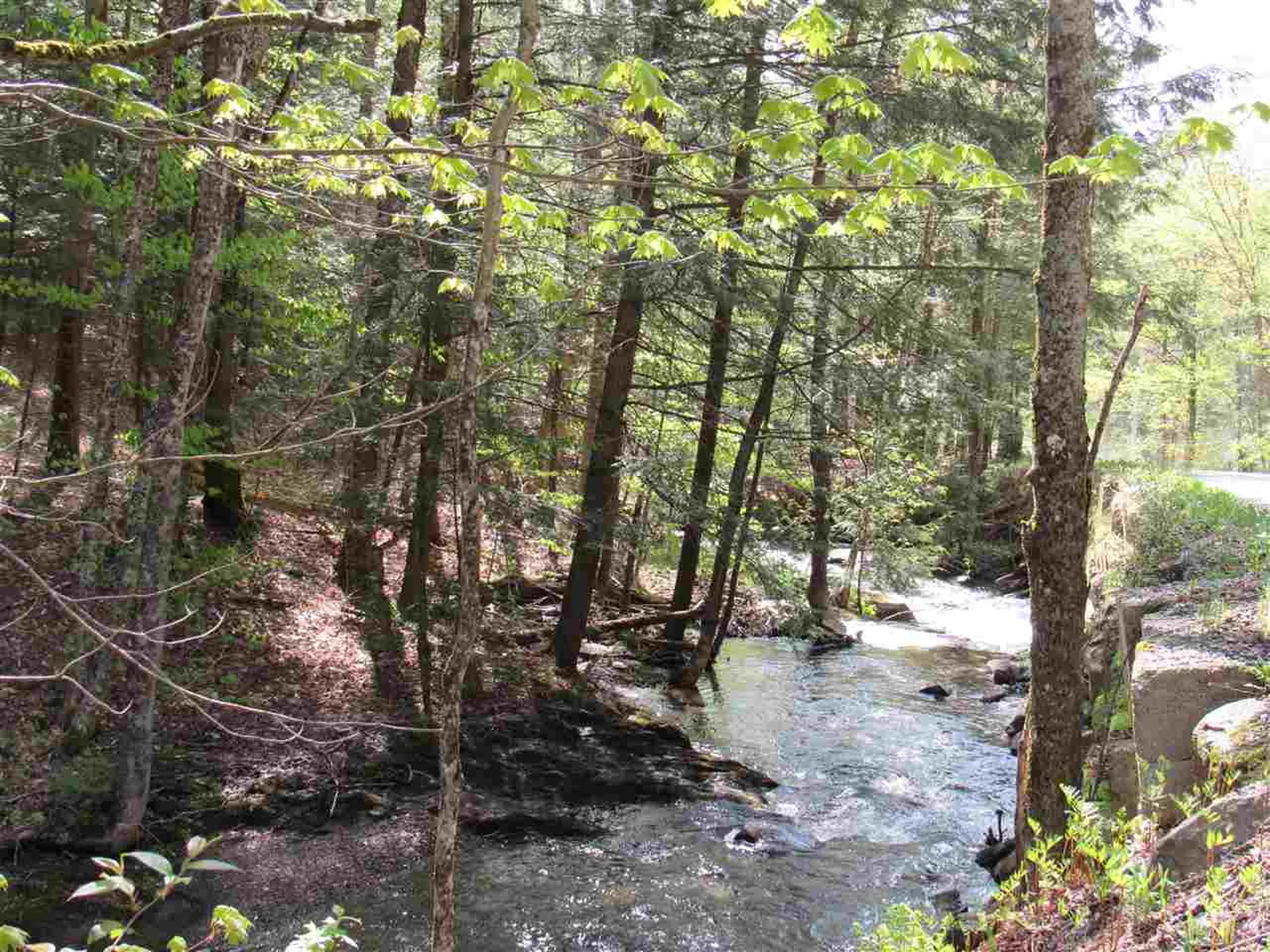 1410 Stevens Brook Road Moretown VT 05660