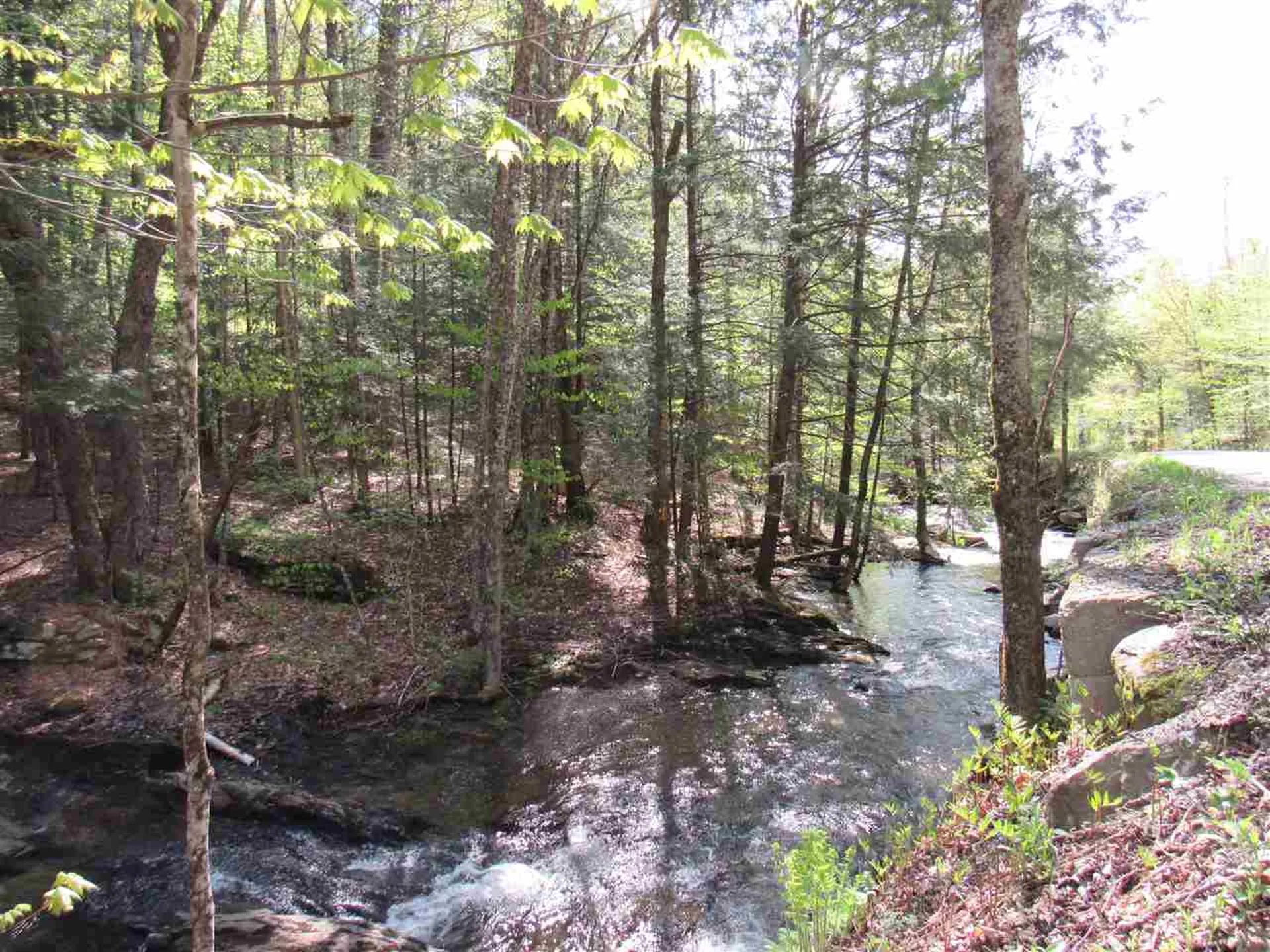 1410 Stevens Brook Road Moretown VT 05660