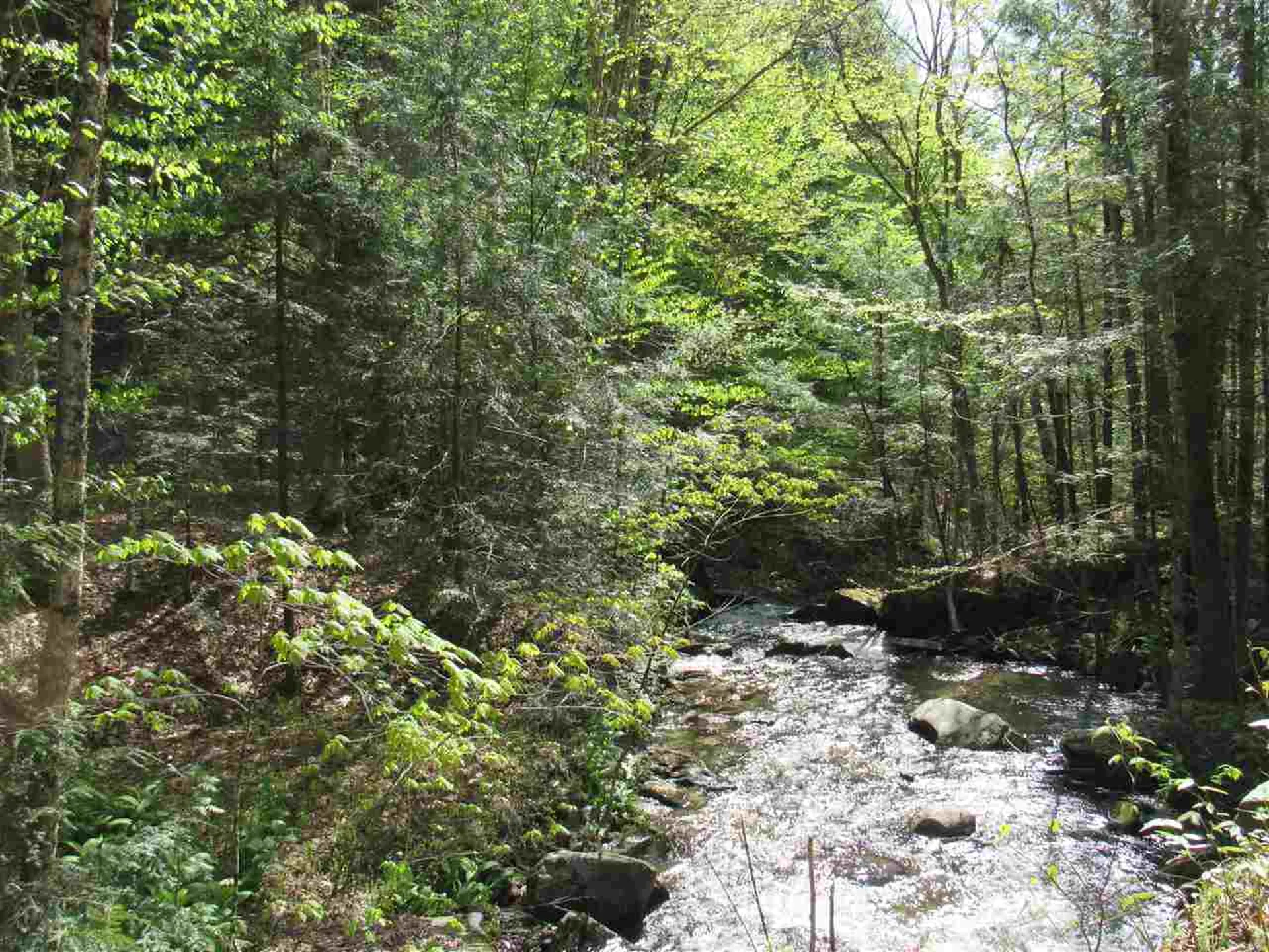 1410 Stevens Brook Road Moretown VT 05660