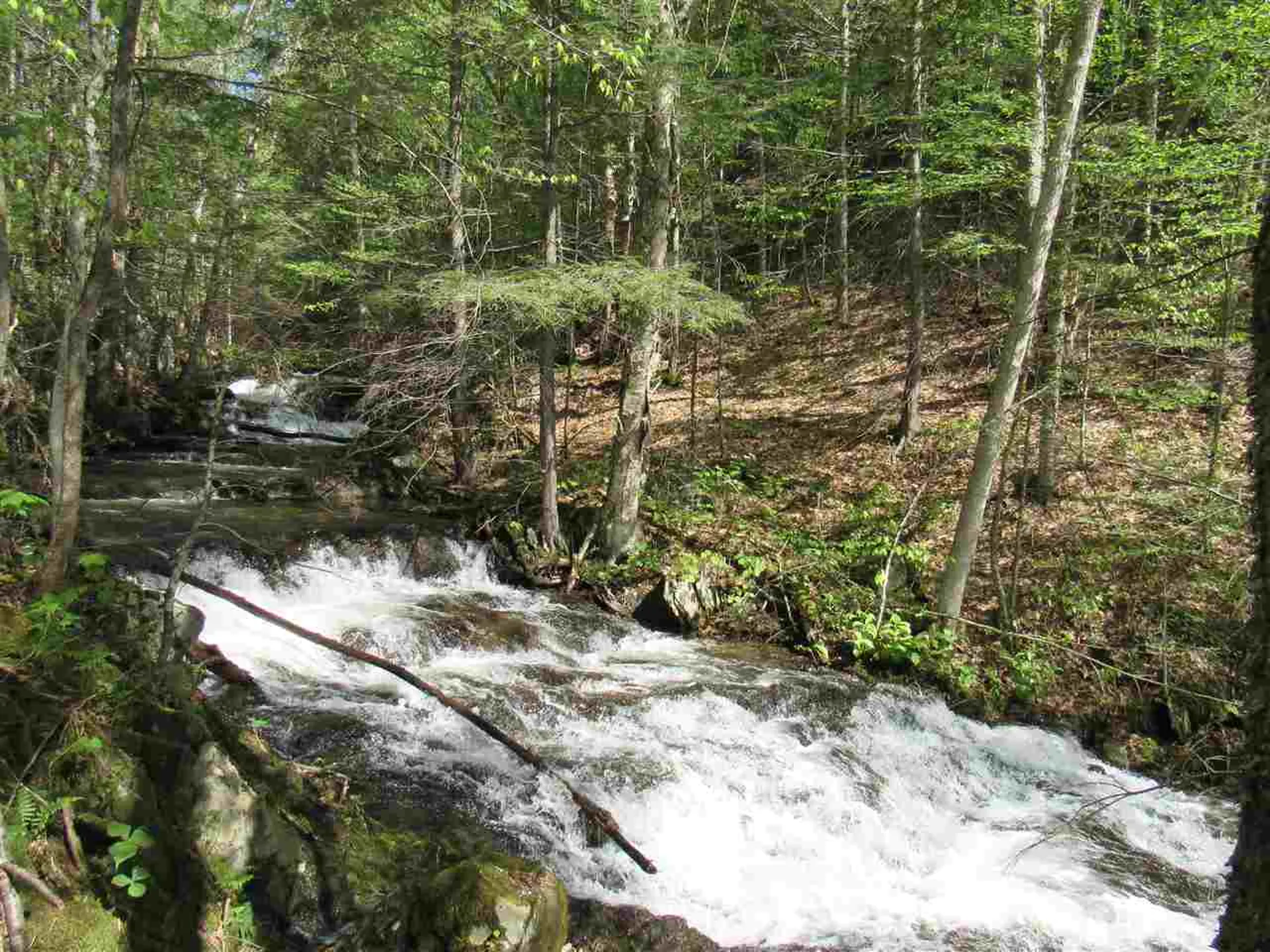 1410 Stevens Brook Road Moretown VT 05660