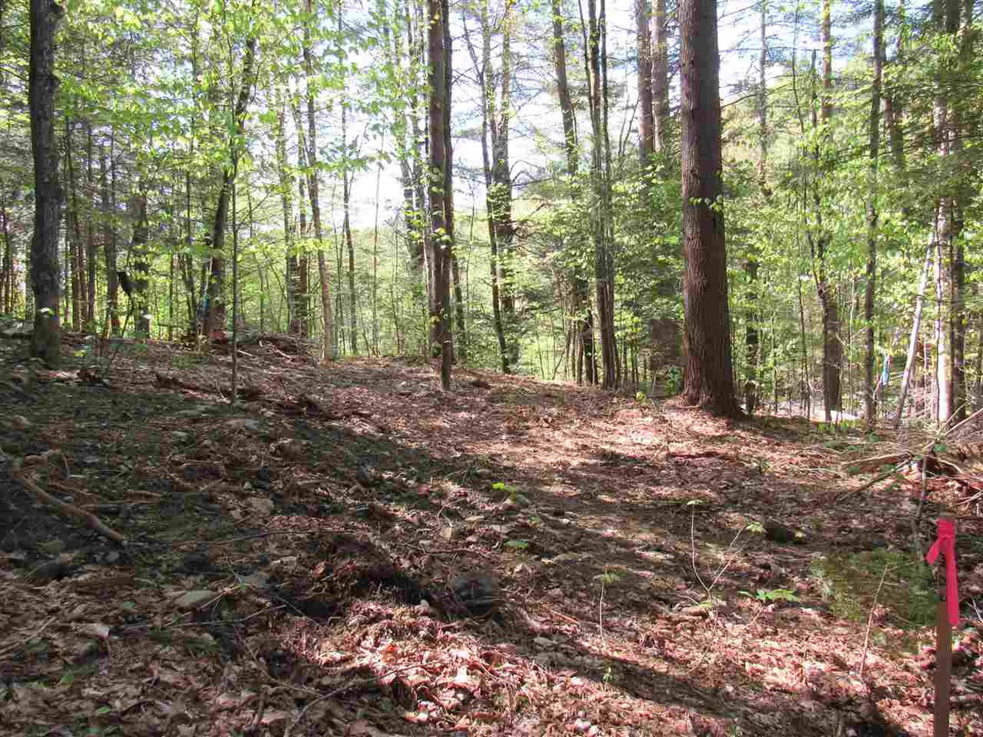 1410 Stevens Brook Road Moretown VT 05660