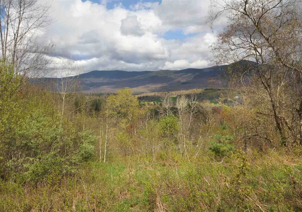 724 York Hill Road Lincoln VT 05443