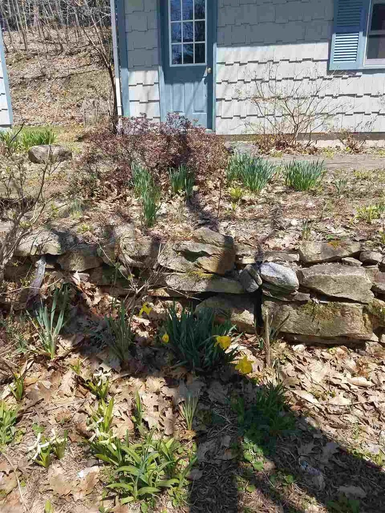 111 Owls Hill Road Westmoreland NH 03467