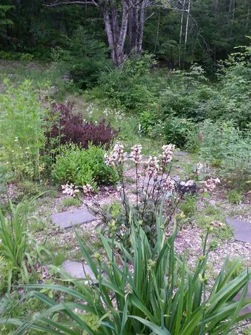 2037 Faybrook Road Sharon VT 05065