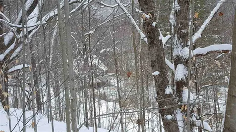 2037 Faybrook Road Sharon VT 05065