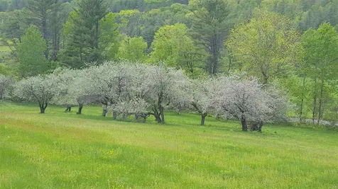 1874 Blood Brook Road West Fairlee VT 05045