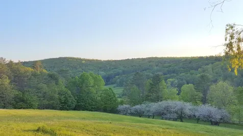 1874 Blood Brook Road West Fairlee VT 05045