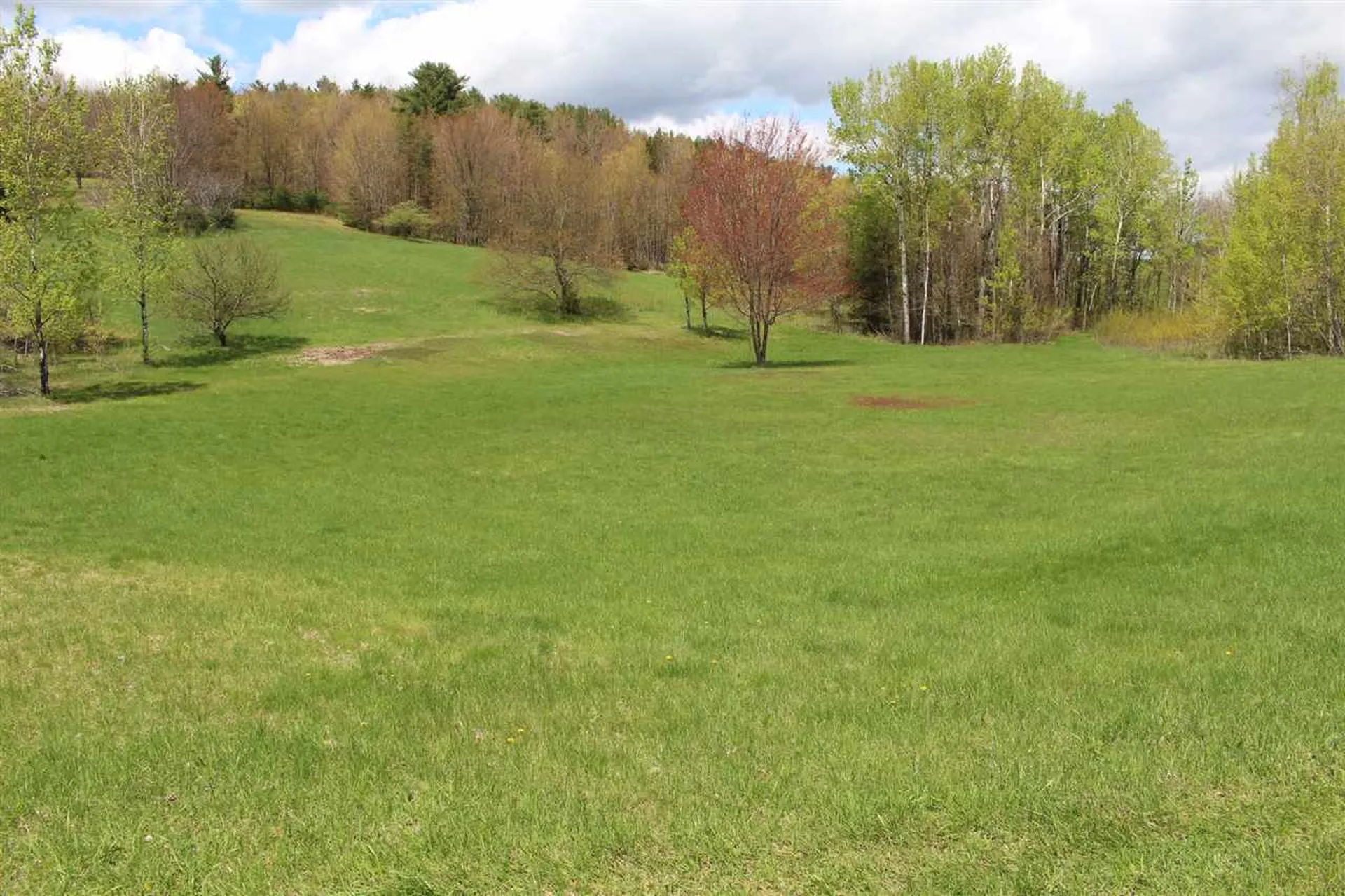 Jericho VT 05465