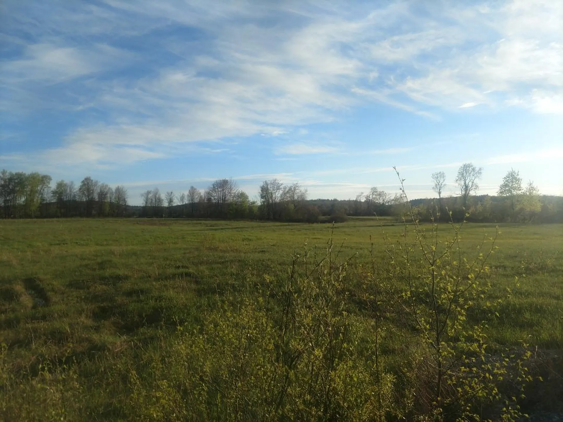 Off South Road Williston VT 05495