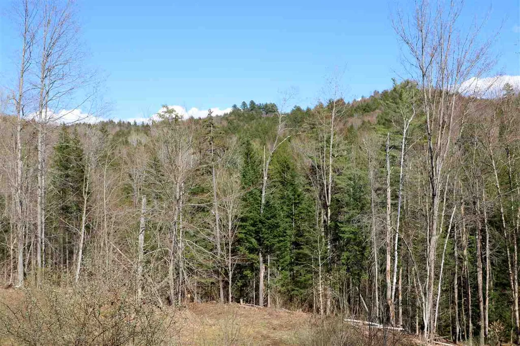 0 Gould Hill Road Montpelier VT 05062