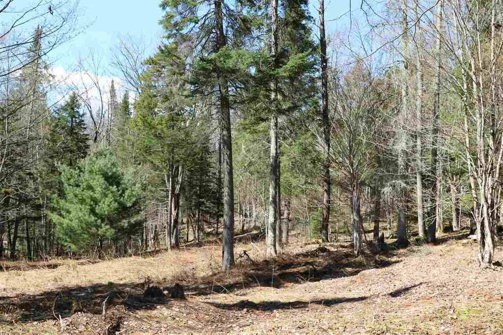 0 Gould Hill Road Montpelier VT 05062