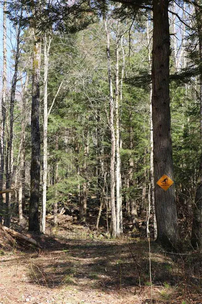 0 Gould Hill Road Montpelier VT 05062
