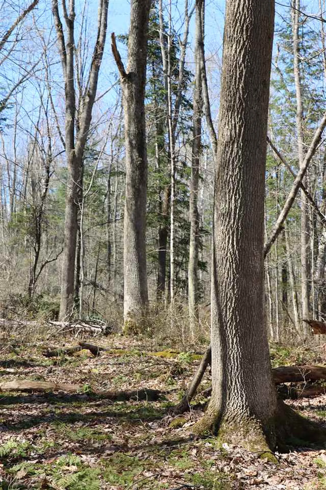 0 Gould Hill Road Montpelier VT 05062