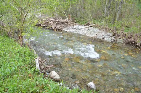 437 Lower Hollow Road Dorset VT 05251