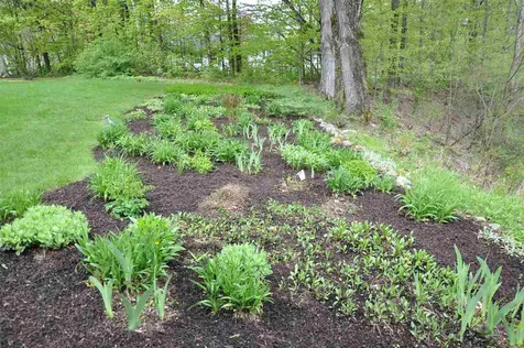 437 Lower Hollow Road Dorset VT 05251
