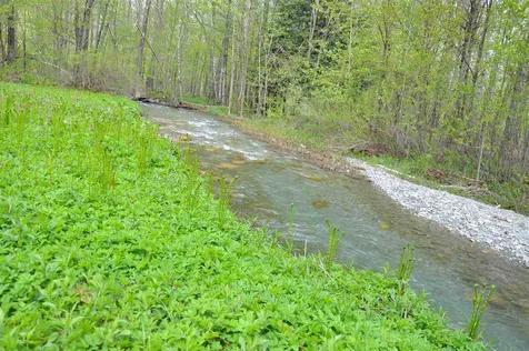 437 Lower Hollow Road Dorset VT 05251
