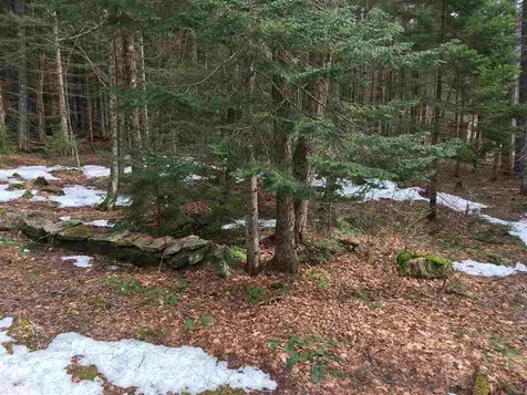 29 Low Land Loop Wilmington VT 05363
