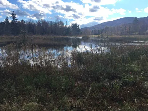 29 Low Land Loop Wilmington VT 05363