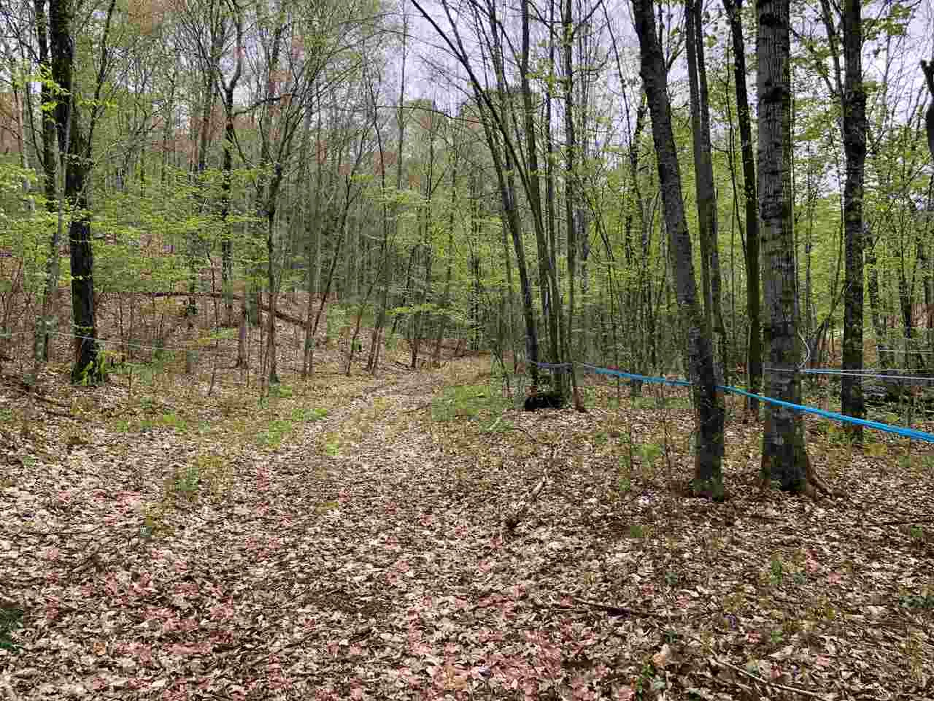 104 Emmaus Road Arlington VT 05250