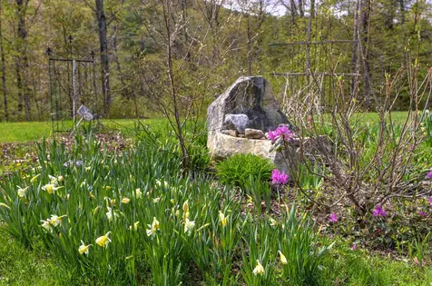 1438 Lovers Lane Road Chester VT 05143