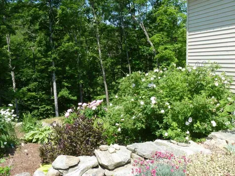 1438 Lovers Lane Road Chester VT 05143