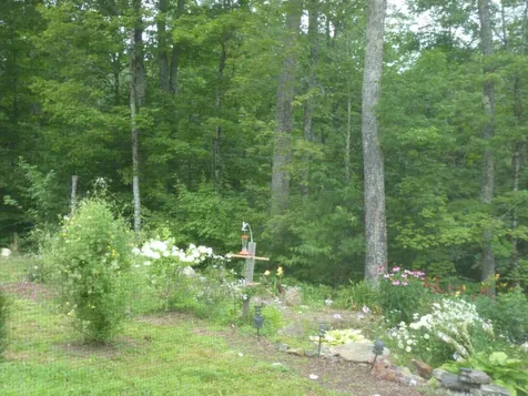 1438 Lovers Lane Road Chester VT 05143