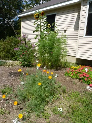 1438 Lovers Lane Road Chester VT 05143
