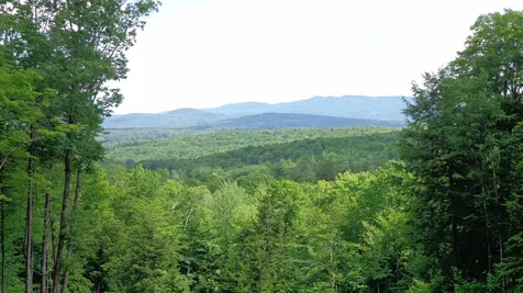 87 Old Post Road Newbury NH 03255