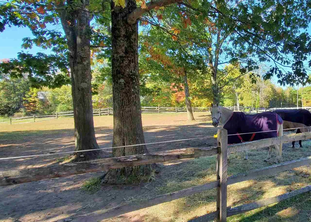 165 Candlewood Hill Road Francestown NH 03043
