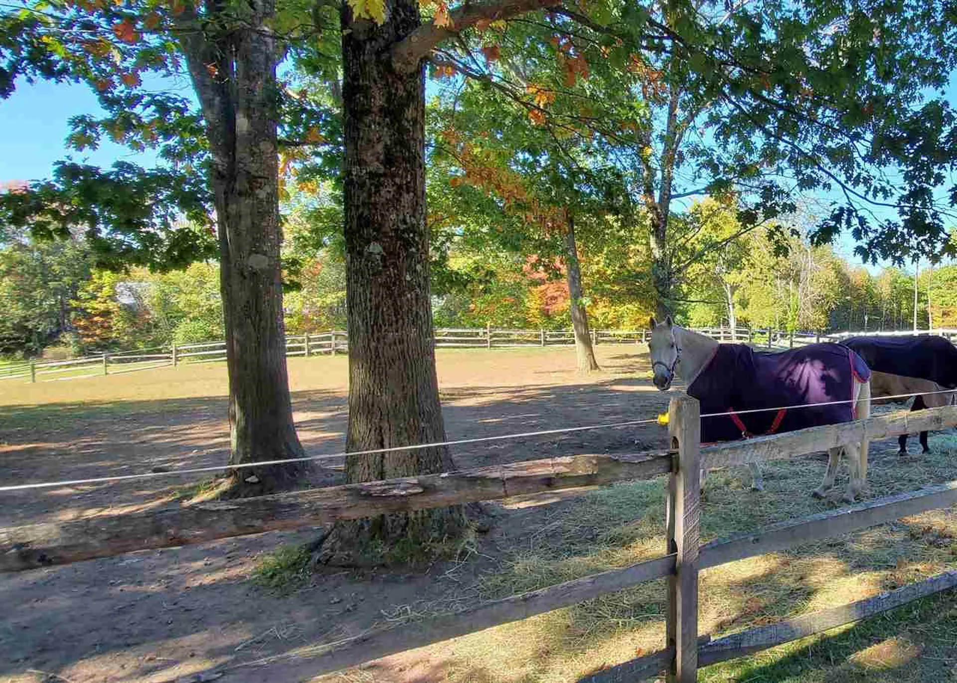 165 Candlewood Hill Road Francestown NH 03043