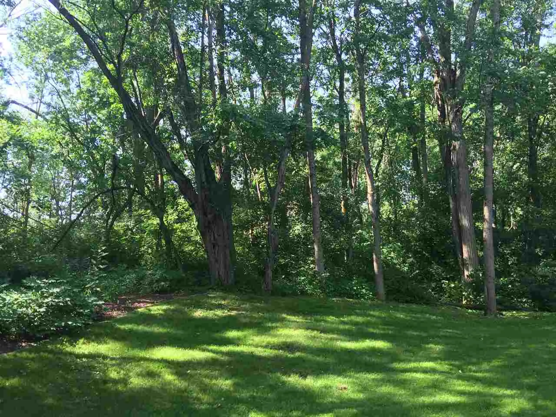 140 Chesapeake Drive Shelburne VT 05482