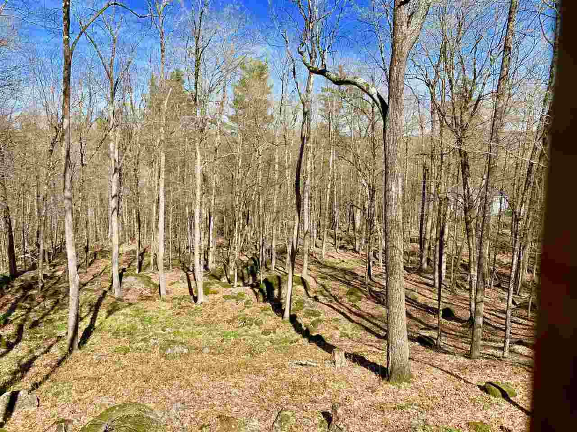 826 Kings Highway Stoddard NH 03464