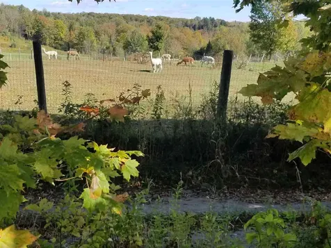 Lot 1 Mathewson Hill Road Lyndon VT 05851