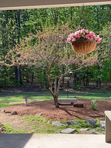11 Forest Drive East Kingston NH 03827